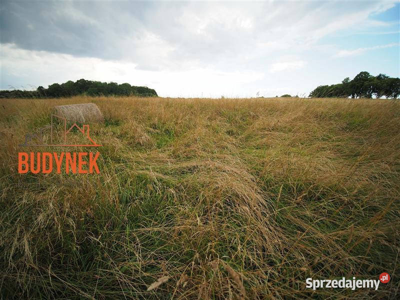 Działka rolna Rusinowo