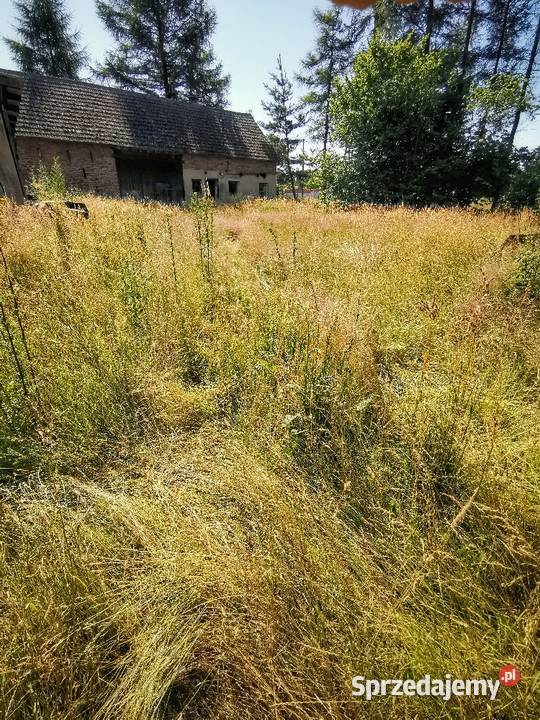 Koszenie KOSĄ SPALINOWĄ działek ogrodów wysokiej Częstochowa