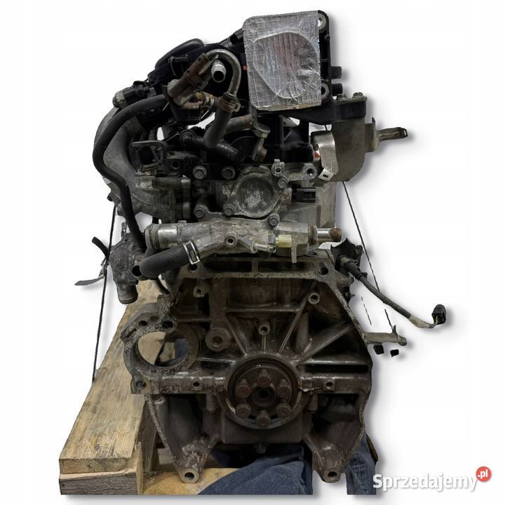 SILNIK L13Z1 Honda Jazz III 13 14 iVTEC VTEC 101 Chełm