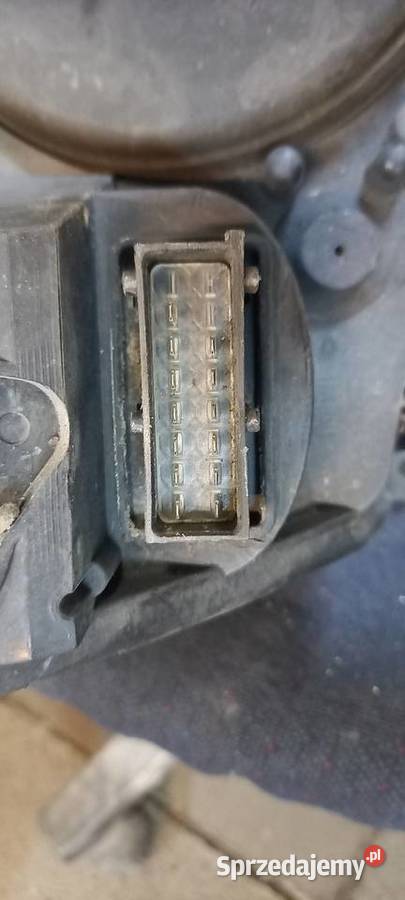 lampy zefira SPORT b 2009 Xenon Bydgoszcz