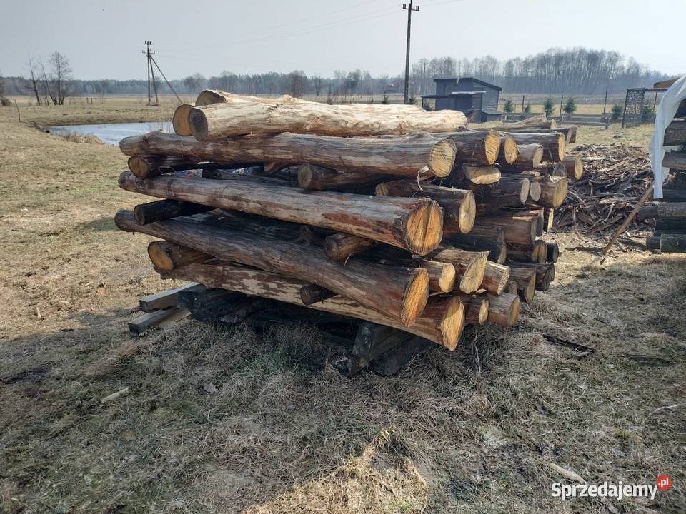 Słupki dębowe okorowane drewno Kołaki