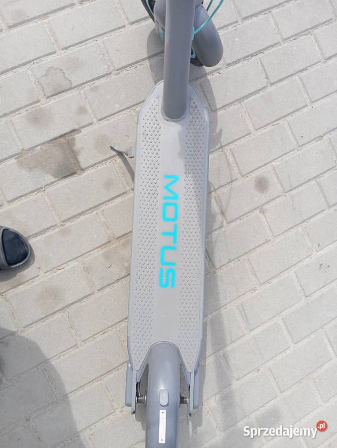 holail nogę eley Ropczyce