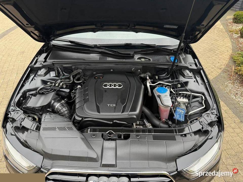 Audi A4 Avant 20 TDI DPF multitronic S line wielkopolskie Krotoszyn
