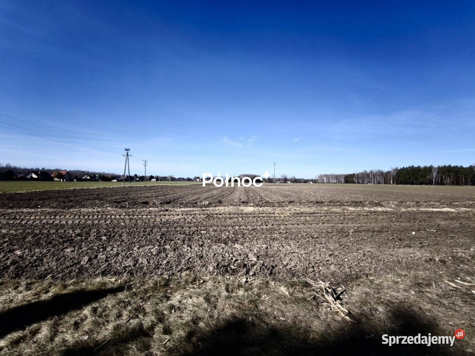 Działki budowlane Elżbiecin gmina Kodeń asfalt Nieruchomości