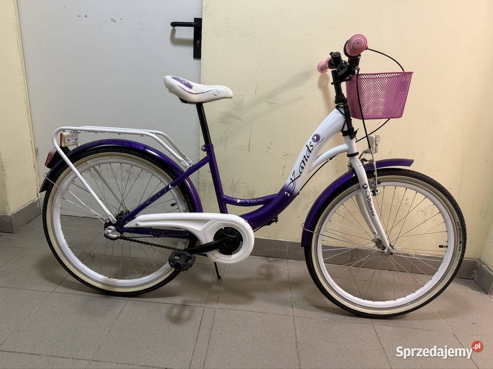 Rowerek dziecięcy damskistan
