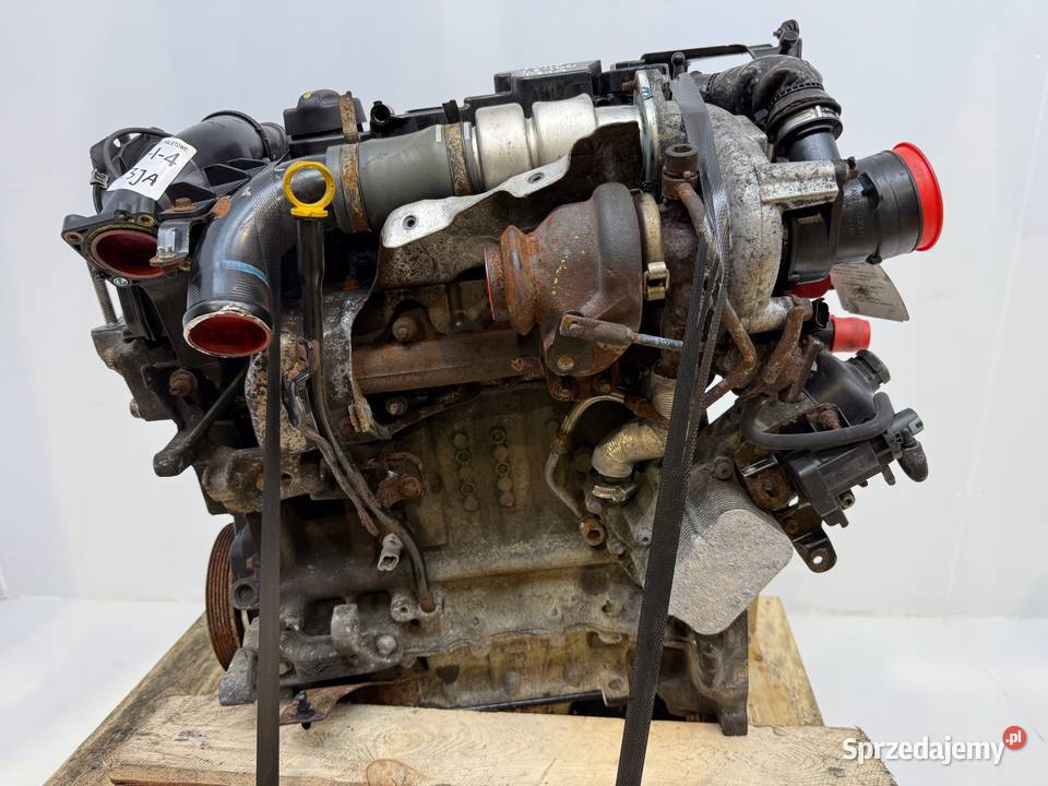 SILNIK T3JA Ford Fiesta VII MK7 16 TDCI 95 osobowe Chełm
