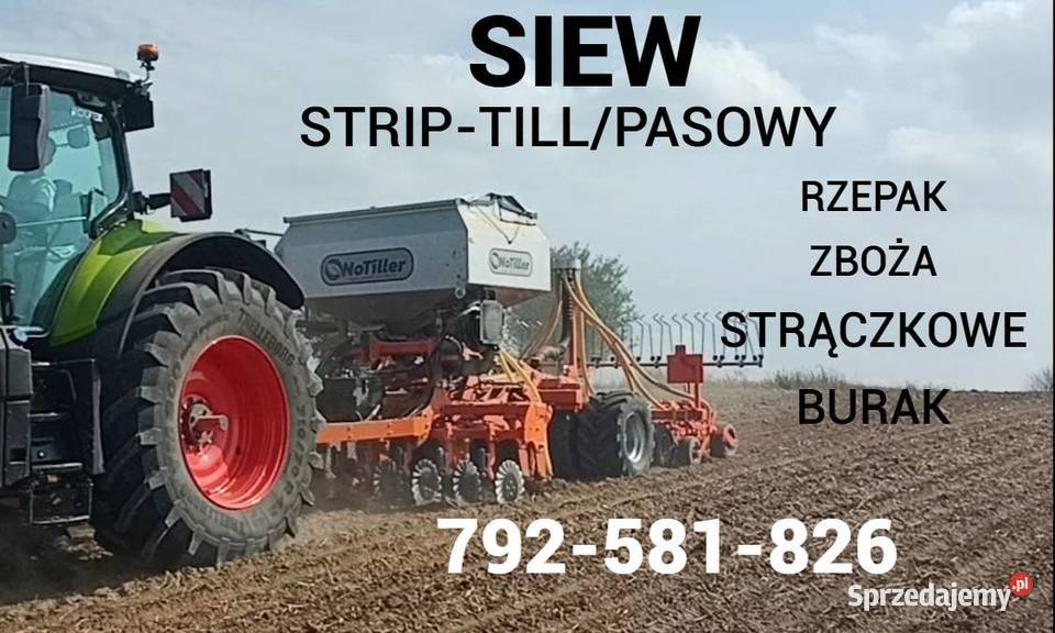 Siew STRIPTILLPASOWY Rzepak pszenica jęczmień Krasnystaw prace ogrodowe