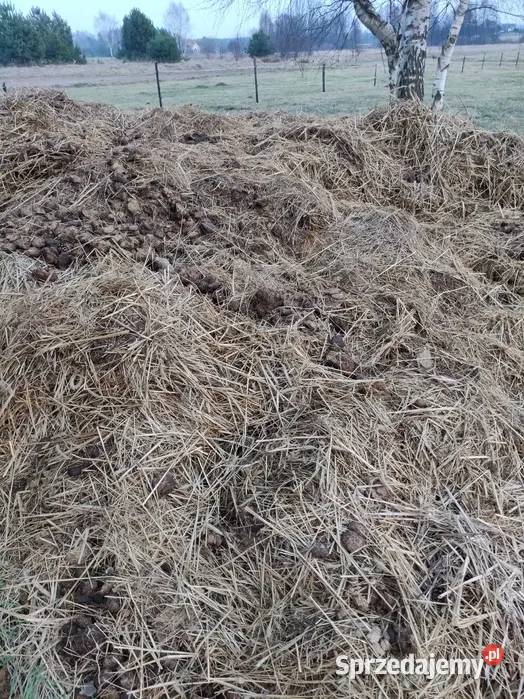 Obornik koński sprzedam Nawozy i ŚOR Łopuszno