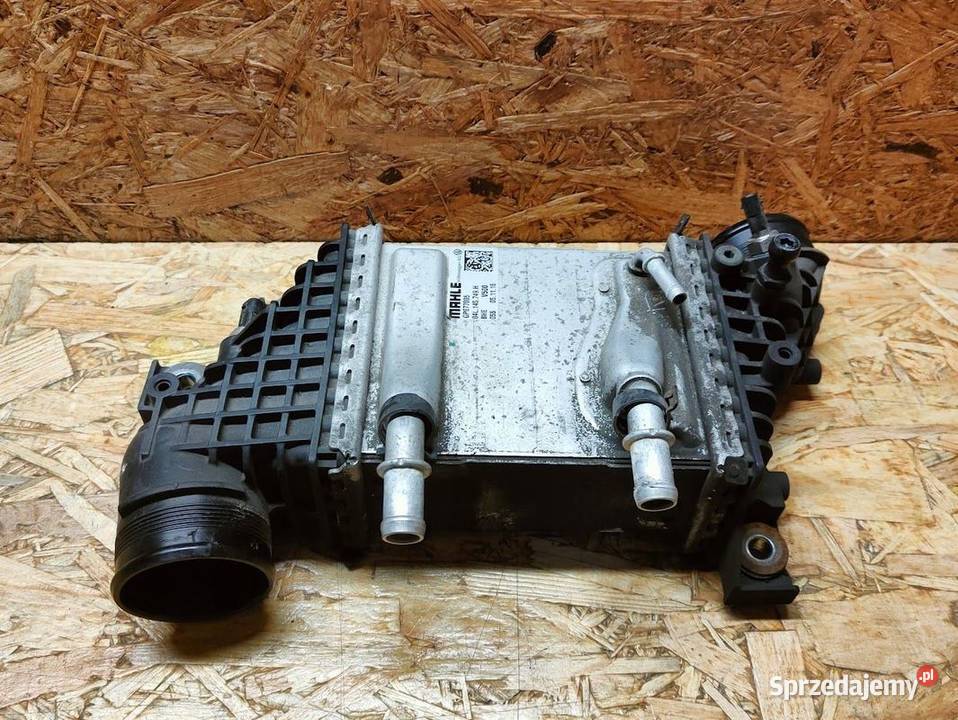 Intercooler Chłodnica Powietrza Vw Transporter Pleszew