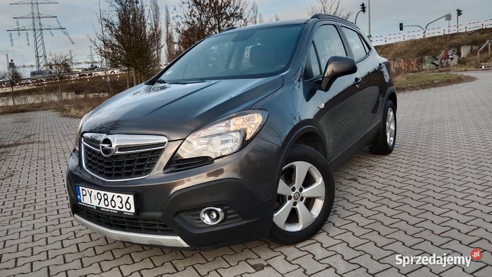 Pełen Carpass Zarejestrowany Poznań sprzedam