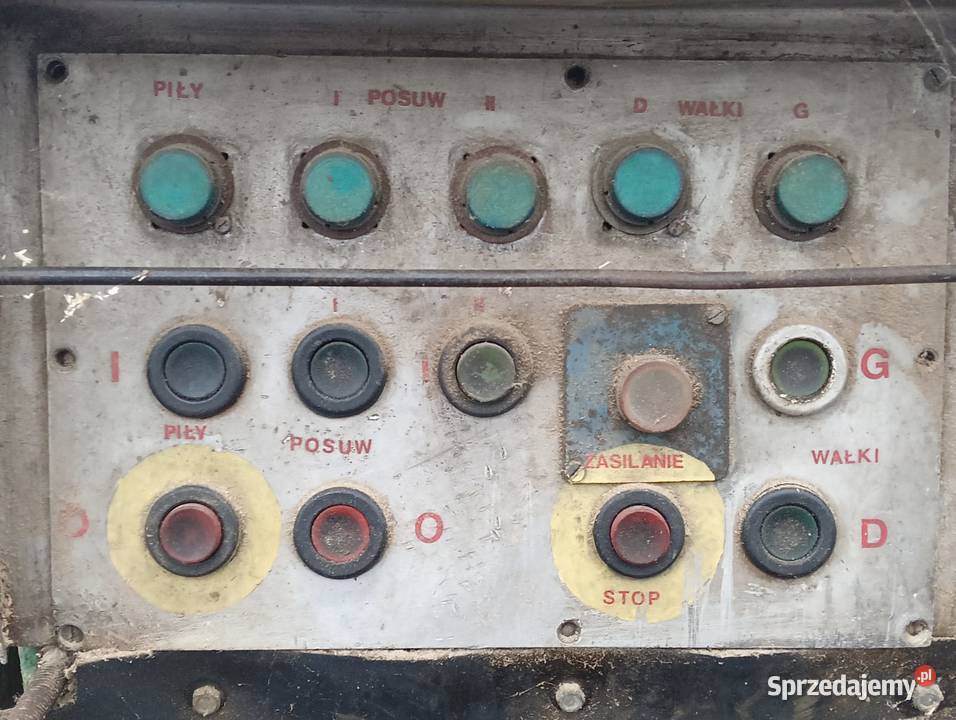 Wielopiła gąsienicowa zakłady leśnictwa Pozostałe Wejherowo