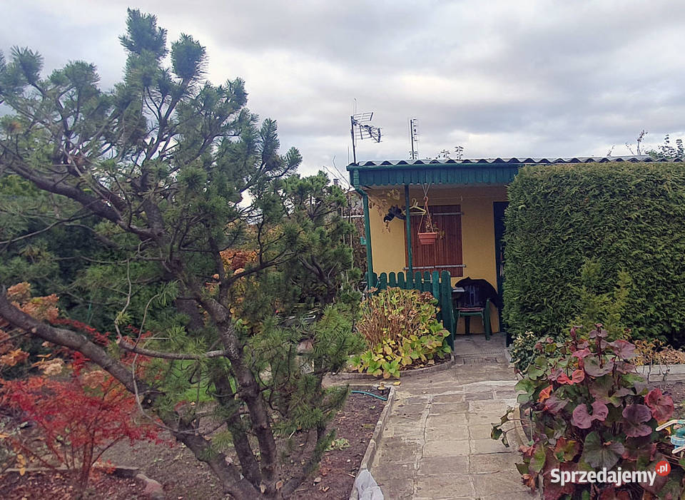 Sprzedam działkę ROD Świętojańska Konin sprzedam