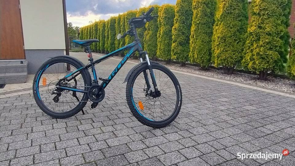 Rower Kross Hexagon 30 Międzybórz