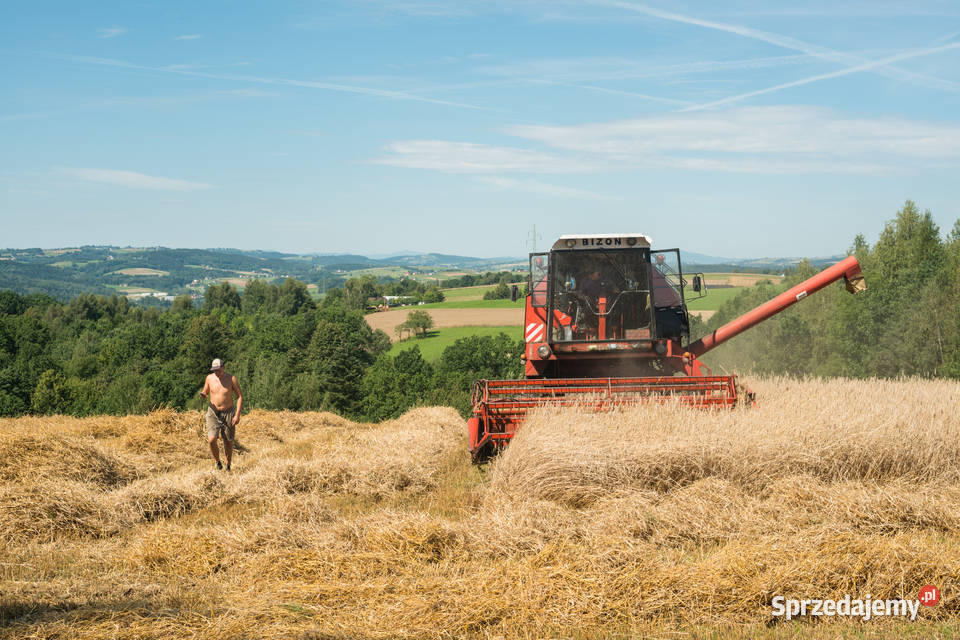 Kombajn Bizon Rekord 4 sztuki małopolskie Wilczyska