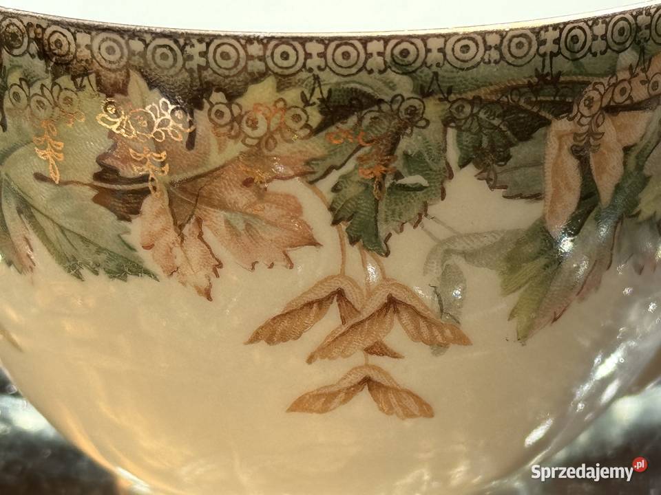 Filiżanka CT Altwasser podkarpackie Mielec