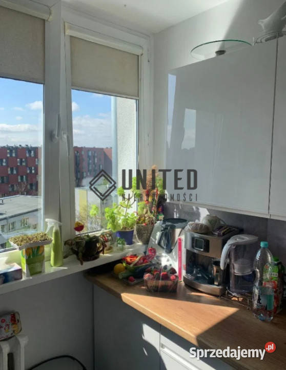 Mieszkanie 335m2 2 pok Wrocław Sprzedaż