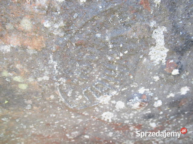 Kocioł garnek Carski Militaria Hajnówka