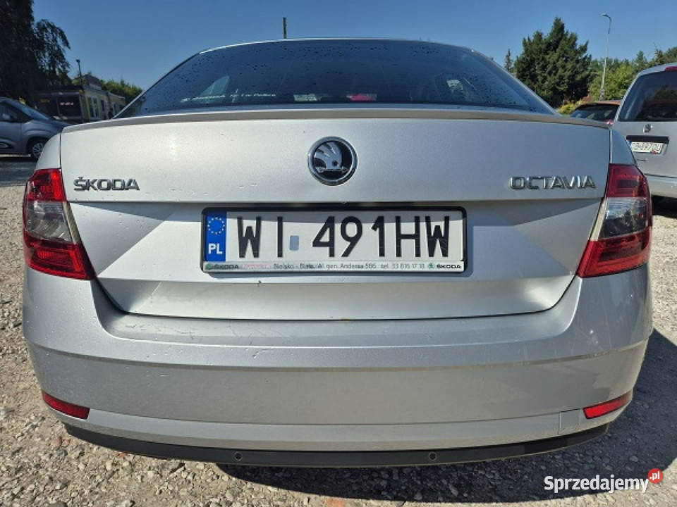 koda Octavia Salon Polska15Tsi Zadbana22018 Rok produkcji 2018 Bydgoszcz