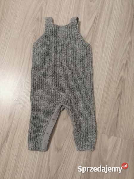 Pajacyk ogrodniczki warmińsko-mazurskie Nidzica