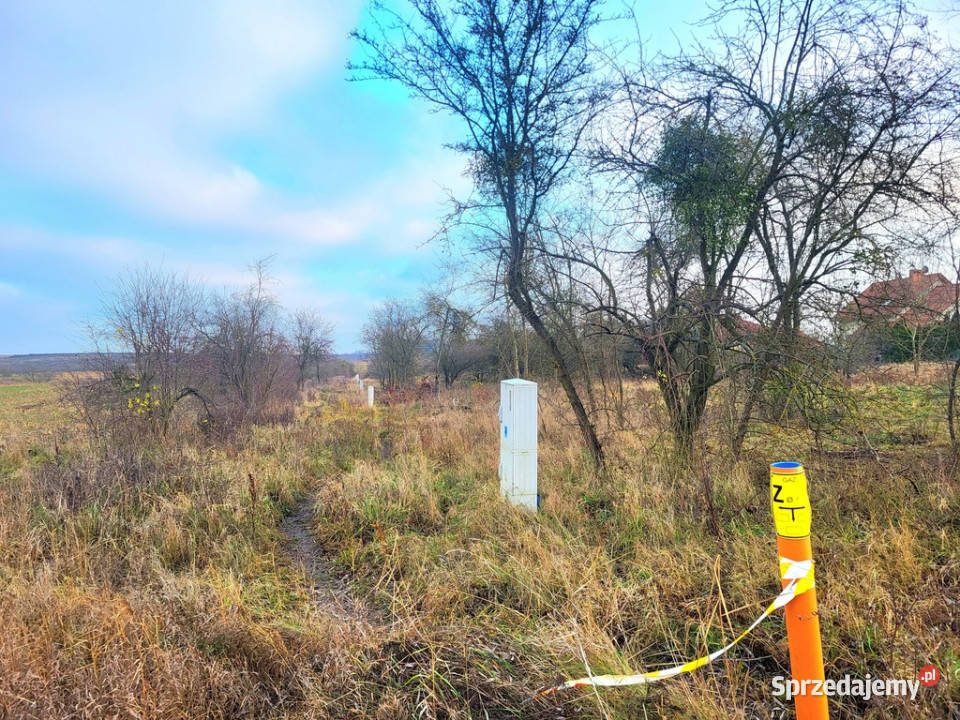 Działka Dołuje zachodniopomorskie