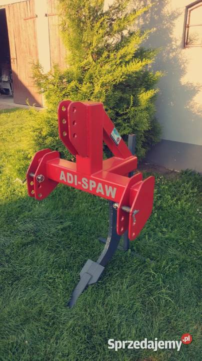 Głębosz jednozębny jedna łapa Łyszkowice