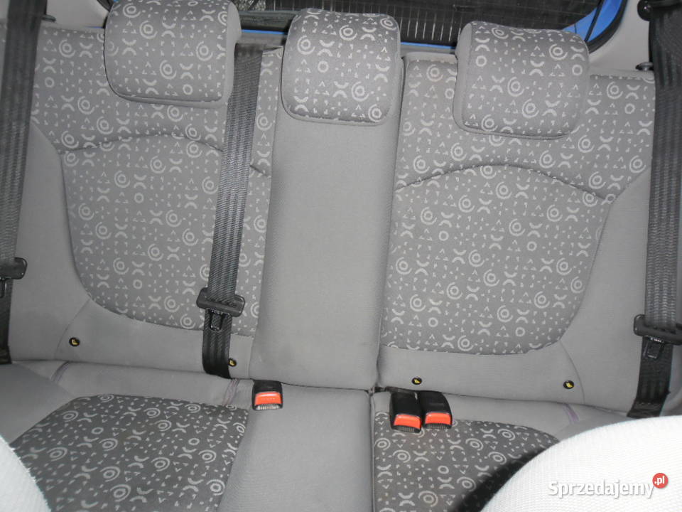 sprzedam nieuszkodzony Kazuń Polski