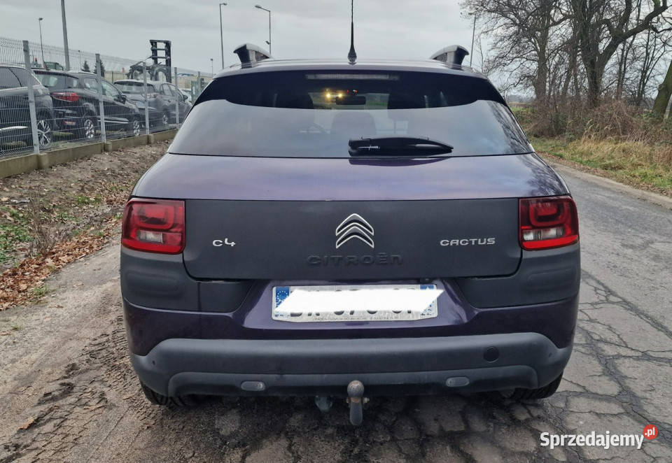 Citroen C4 Cactus 16 Hdi I 2014 1560cm3 Pleszew