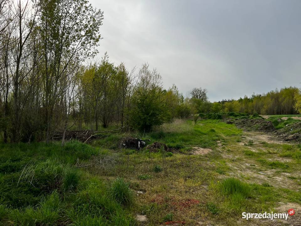 Działka drodze asfaltowej Kolsko
