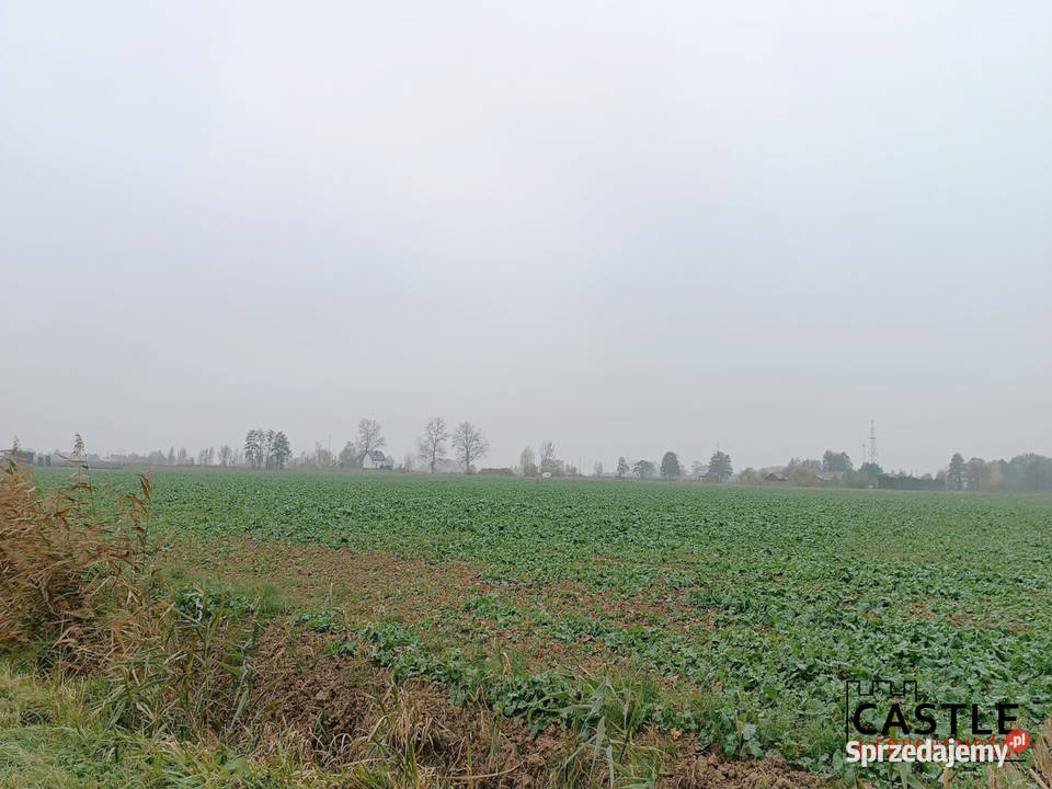 działka pod budowę I na uboczu I Kąty Rybackie I budowlana sprzedam