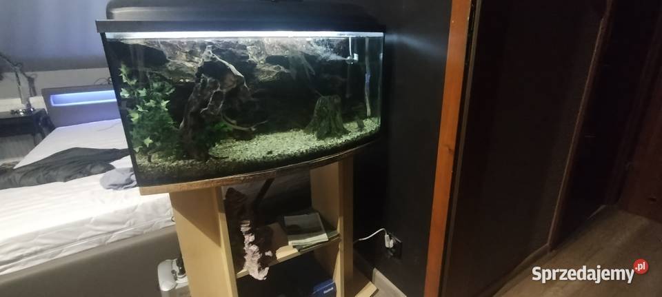 Akwarium 100l z pełnym wyposażeniem Otwock