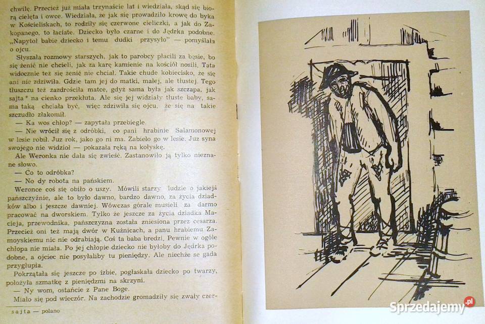 Konary Józef Kapeniak lubelskie Chełm sprzedam