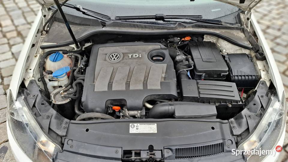 Vw Golf VI 16tdi 201213 Motoryzacja Polska Nowa Wieś