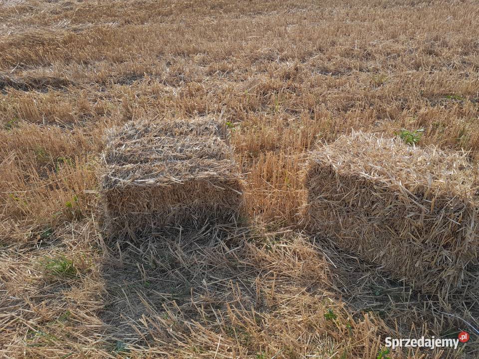 Słoma pszenna kostka Zadroże