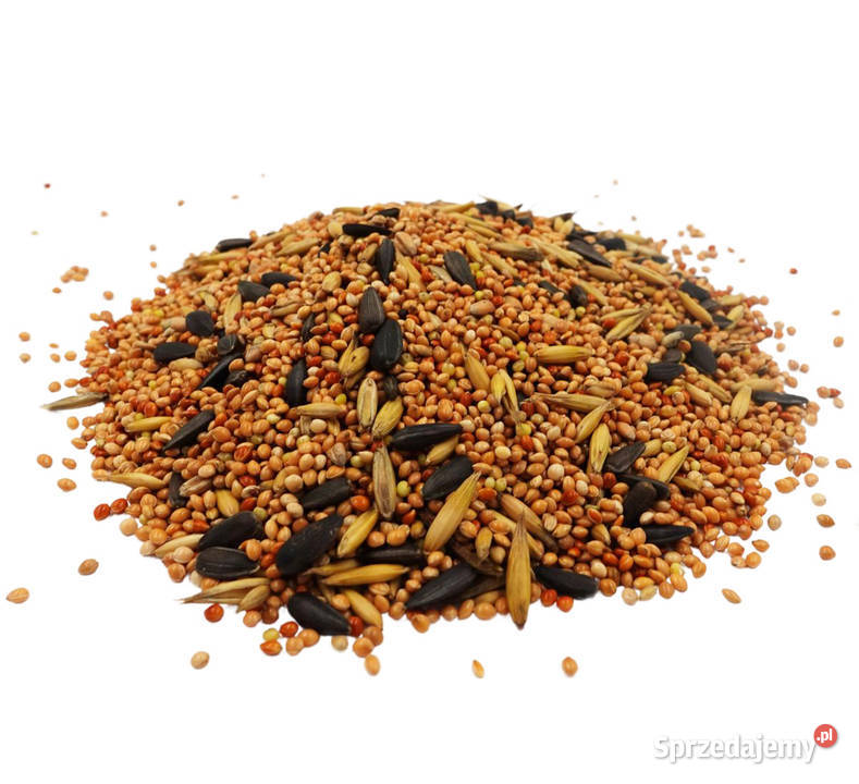 Karma pokarm Papug małych średnich dużych 10