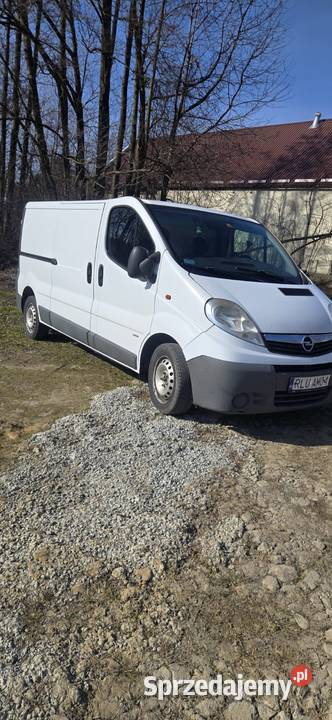 Opel vivaro 25 L2H1 long klima doinwestowany zarejestrowany w Polsce podkarpackie
