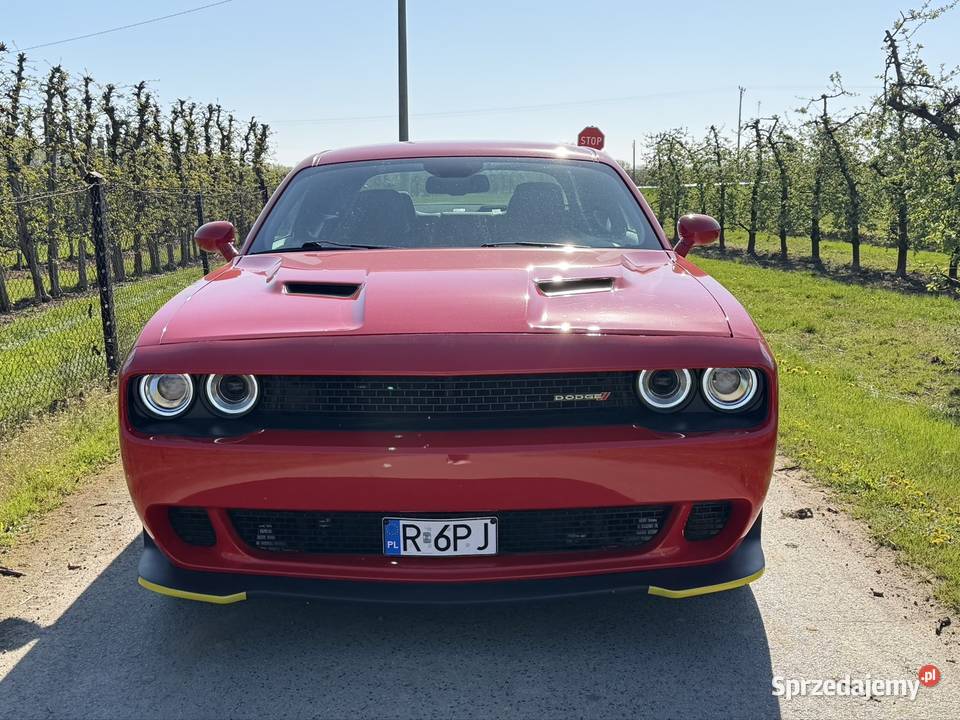 Dodge Challenger DOINWESTOWANY czerwony Dodge Sandomierz