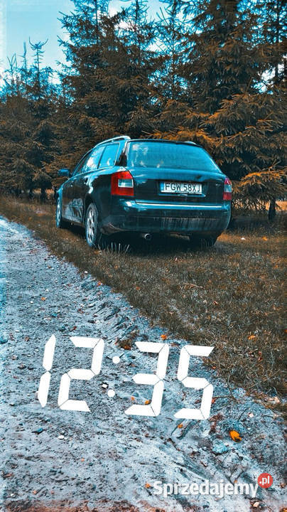 Audi A4 B6 A4 Kadłubiska sprzedam