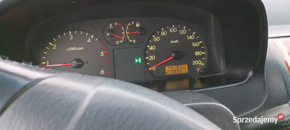 Hyundai Terrcan 29 CRDI hak Terracan sprzedam