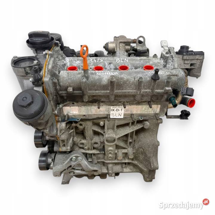 SILNIK BLN VW Golf V Plus 14 FSI 90 benzyna Chełm