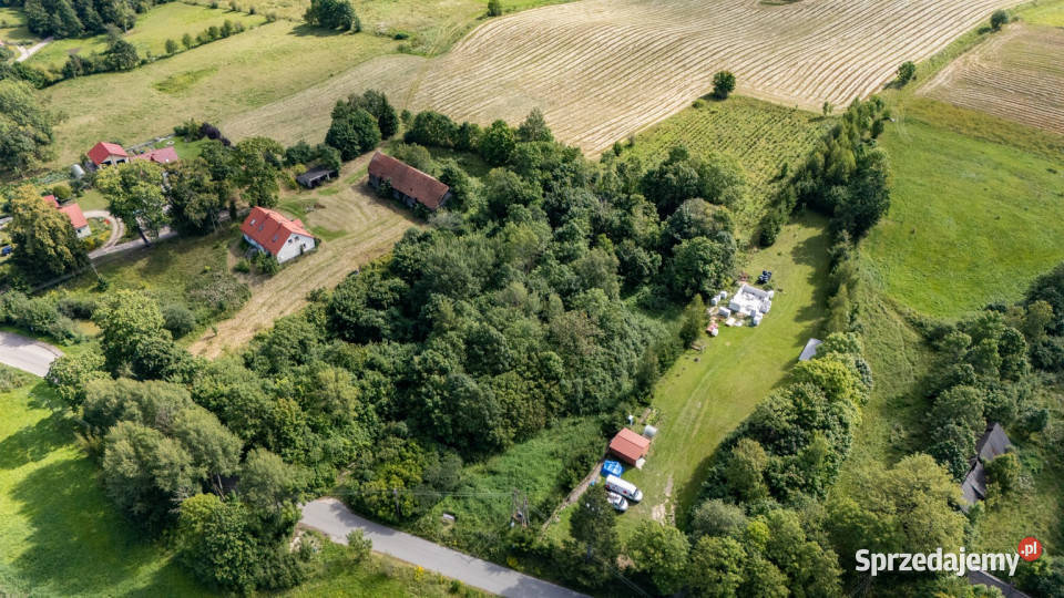 45 ha jeziorem Mazury Inwestycja Jeziorko