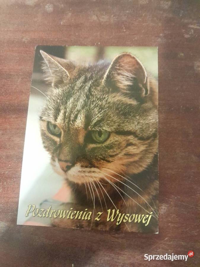 Pocztówki Bieszczady Darłowo