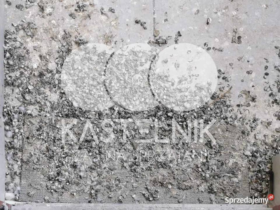 Sprzątanie gołębiach Gostyń Kastelnik mycie Sprzątanie domów i mieszkań