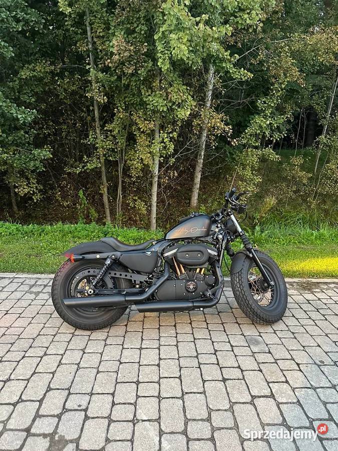 Harley-Davidson Iron 883 custom Suwaki