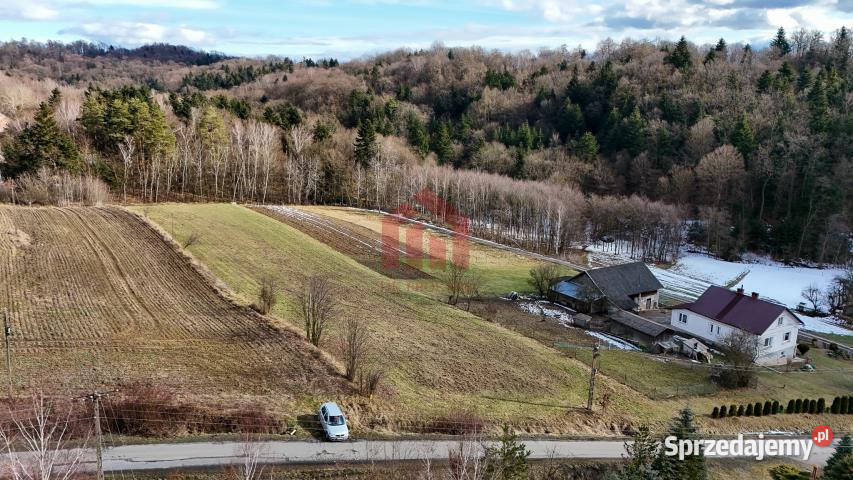 Grunt sprzedam 1300m2 Wielopole Skrzyńskie sprzedam