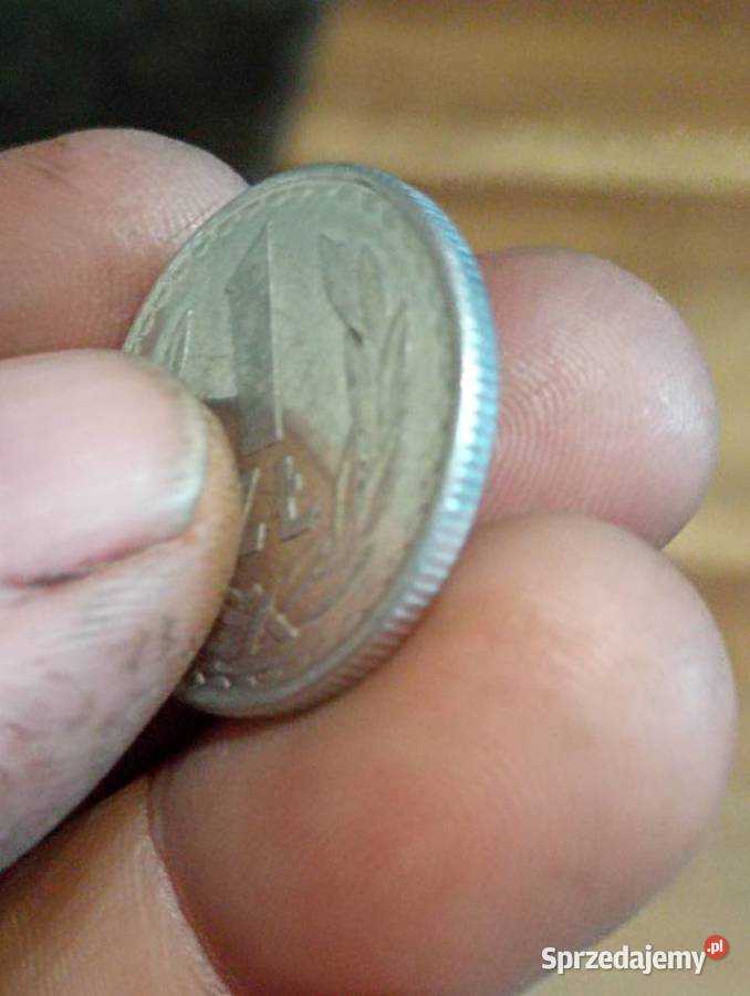 Sprzedam monete 1 zloty 1982 nierowny rant lubelskie Chełm