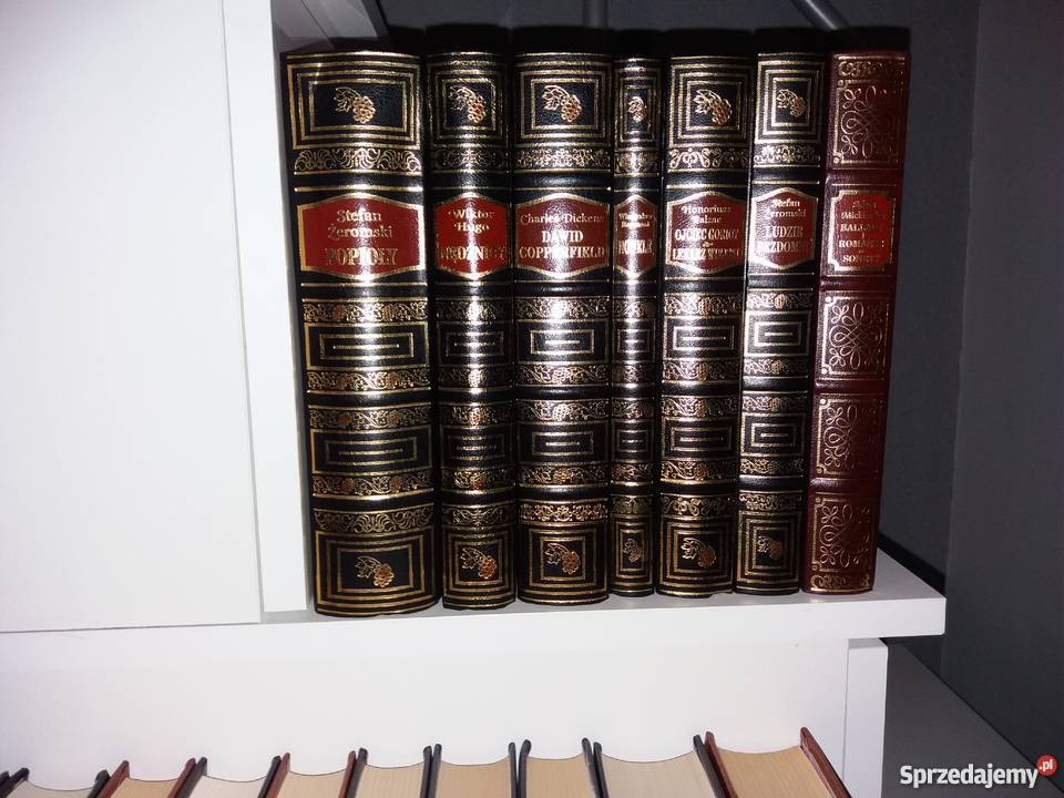 Piękna kolekcja literatury polskiej i światowej Lublin