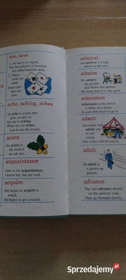 Wielki obrazkowy słownik chłopców i dzewczyn Lublin sprzedam