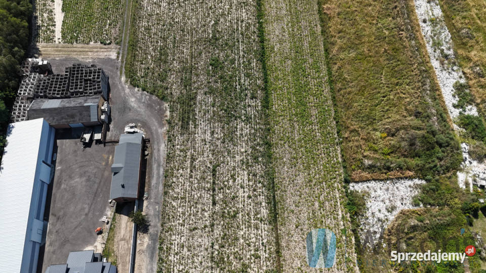 Działka Pogroszew 11913m2 asfalt