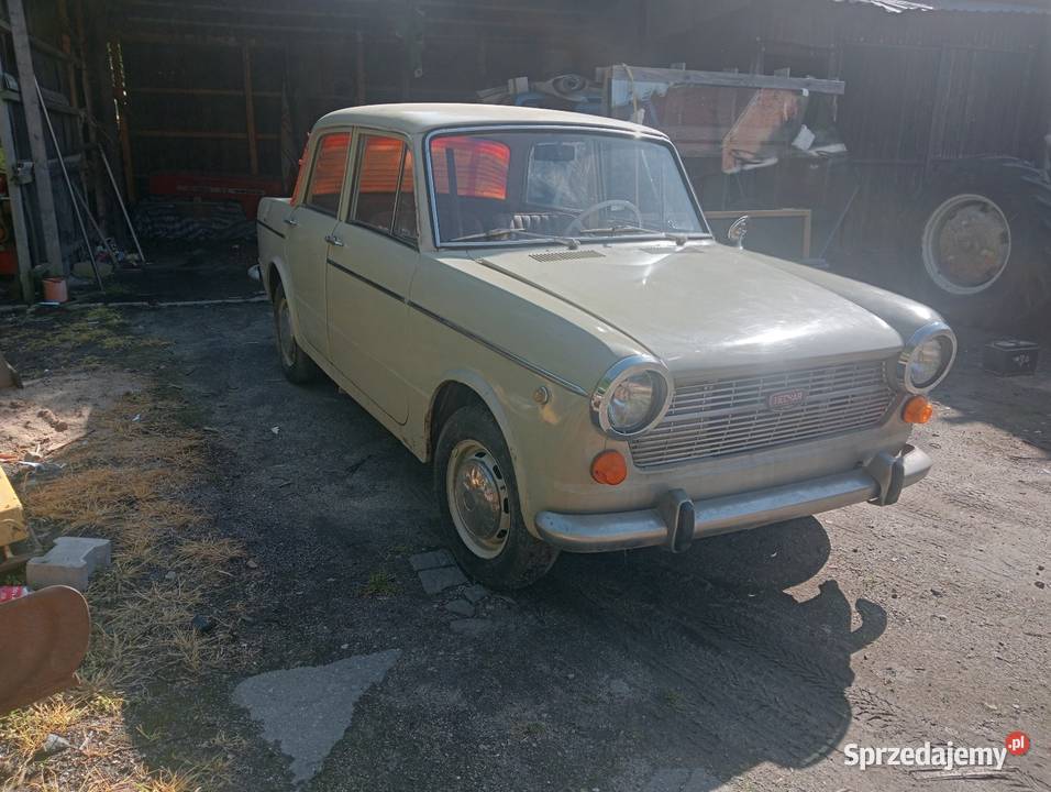 Fiat 1100 zabytek 1967r Pozostałe Pieszyce