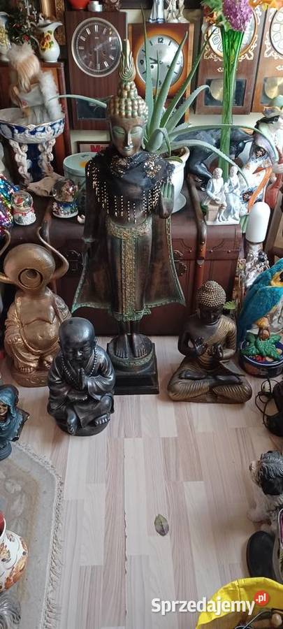 BUDDY CZTERY FIGURY wszystkie 500z wielkopolskie Poznań sprzedam